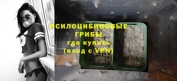 бошки Вязьма