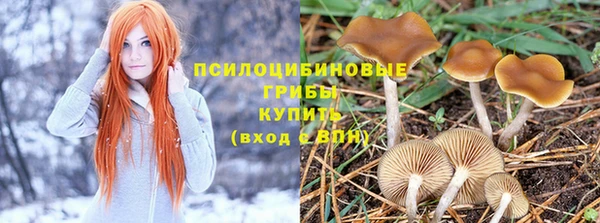 ГАЛЛЮЦИНОГЕННЫЕ ГРИБЫ Володарск