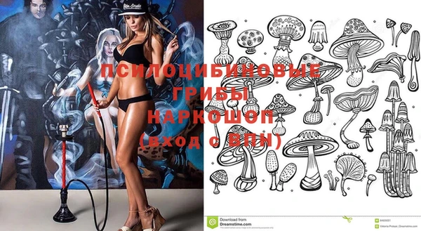 бошки Вязьма