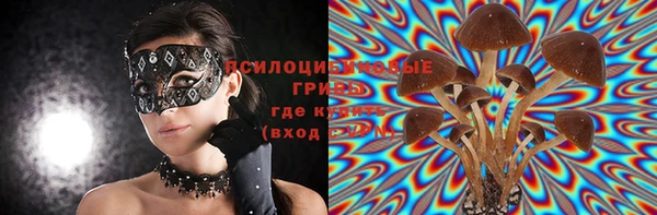 спайс Вяземский